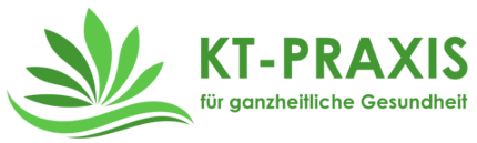 KT-Praxis GmbH Logo